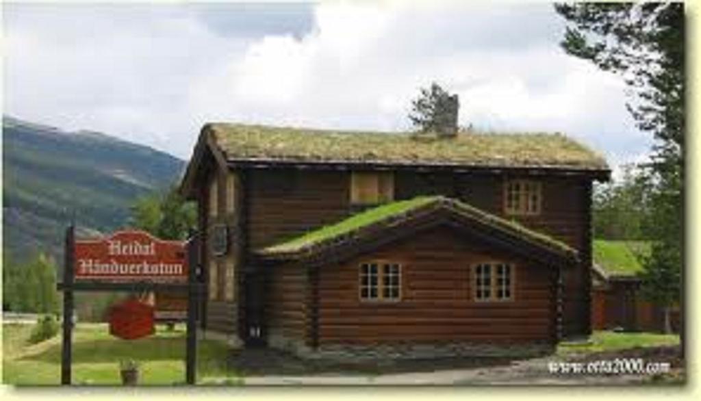 Lusaeter Timber Cabins Heidal Esterno foto