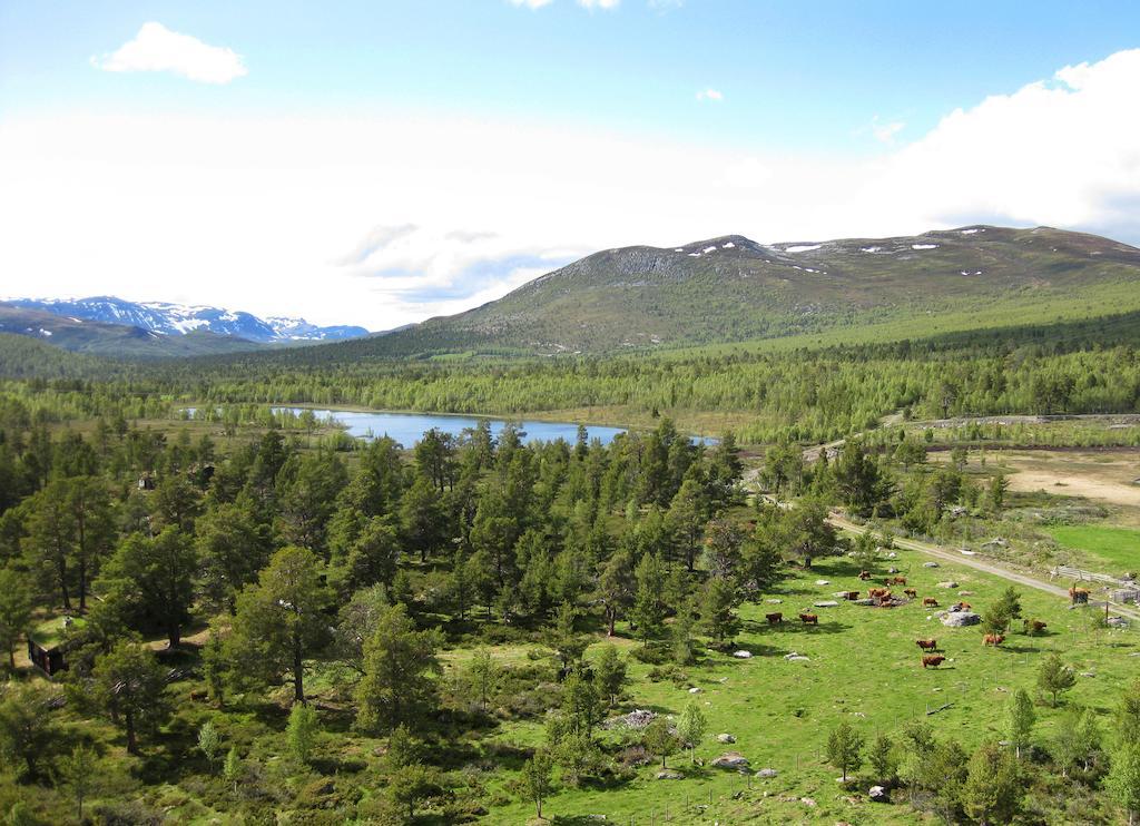 Lusaeter Timber Cabins Heidal Esterno foto